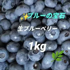ブルーベリー＊生ブルーベリー＊完熟ブルーベリー＊摘みたて＊農薬不使用のサムネイル