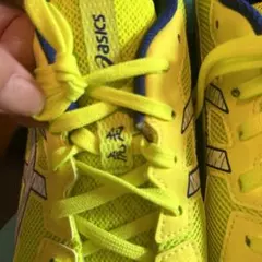 Item thumbnail for item 0a9b1a2b-ba25-4cf4-a760-c70ce1609bd2