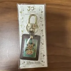 【非売品】東京ディズニーリゾート　30周年記念　キーホルダー　ディズニーホテル