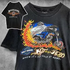 CCXQ ハーレーTシャツ 長袖 ロンT USA製 ダビッドソン スカル ドクロ 