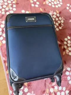 布製キャリーバッグ