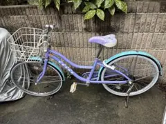 2026年最新】BRIDGESTONE 自転車本体の人気アイテム - メルカリ