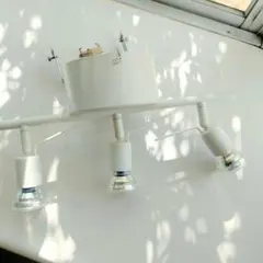 Item thumbnail for item dd29e635-8b1b-46cc-8cb6-9208676eab69