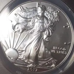 2017(P) アメリカ 米国 シルバーイーグル銀貨1ドル1＄WW148205Y 2017(P) アメリカ 米国 シルバーイーグル銀貨1ドル1＄WW148205Y