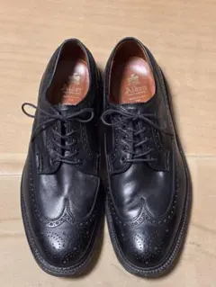 ALDEN 9753 J.CREW別注 ロングウイング 10.5D オールデンのサムネイル
