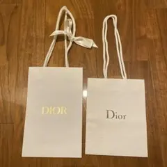 Dior ショップ袋 大小セット