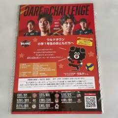 ウルフドッグス名古屋 下敷き　非売品　バレーボールのサムネイル