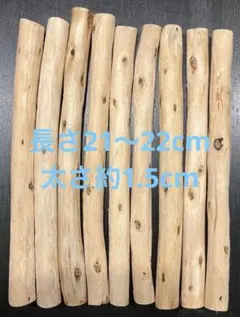 Item thumbnail for item d22e021d-59b3-4651-8338-541c0229678a