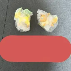 ポケモン　つまんでつなげてマスコット13 リーフィア　イーブイ　ボールチェーン