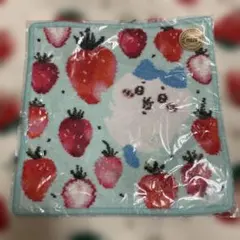 FEILER ラブラリー　ちいかわ　ハチワレ　ハンカチ