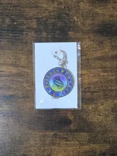 ZA購入特典 ポケモン キーホルダー