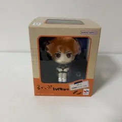 ハイキュー 日向翔陽 るかっぷ