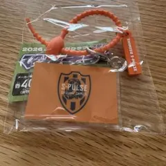 清水エスパルス　マルチチャーム　ガチャ　Jリーグ