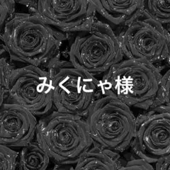 みくにゃ様専用、チップオーダー