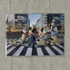 【匿名発送】Disney ディズニー JCB カード A6 クリアファイル