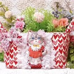‧✧̣̥̇‧◡̈♡コヤンイサムチョン❤️布バスケット♡.•*¨*•.♬◡̈⃝︎⋆︎*のサムネイル