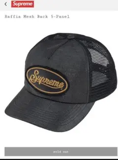 Supreme Raffia Mesh Back 5-Panel 黒 - メルカリ