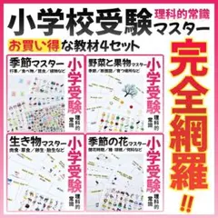 2026年最新】ジャック幼児教室の人気アイテム - メルカリ