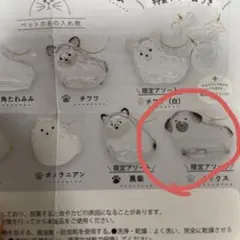 Item thumbnail for item a4cc0b72-6dd9-45f6-9361-6d1882db04d7