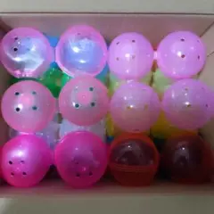 最終価額　24個　ガシャポン　カプセル　空カプセル　ノンセパレート