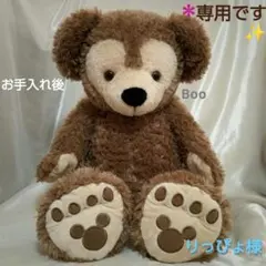 ＊専用です＊WDWダッフィー