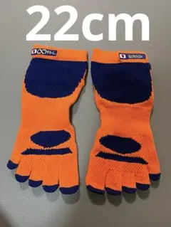 Item thumbnail for item 376d1966-dfe2-46cf-81e2-6e5b5f3e854c