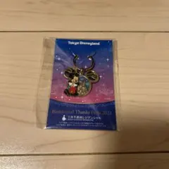 オリジナル　東京ディズニーランドキーホルダー2022