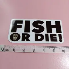 TT様 リクエスト 4点 まとめ商品