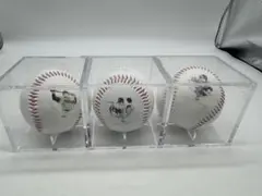 Item thumbnail for item 7caefa79-e2e4-49c5-bc1f-96071e06621f