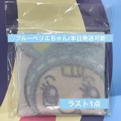 ナルミヤ ハッピーパーク ブルーベリエちゃん クリアフラットポーチ