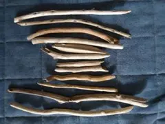 Item thumbnail for item 1256fab2-8095-4f3c-9fb3-09212058ab3e