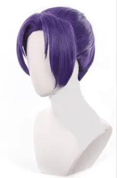 ブルーロック 御影玲王 レオ コスプレ ウイッグ