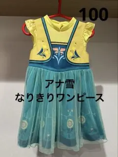 【アナ雪なりきりワンピース】ディズニー フリル袖 花柄刺繍 ワンピース 100