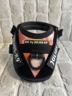 Item thumbnail for item 18c639cd-c962-48c0-bc6c-5658ac0c8b8a