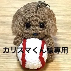 トイプードル あみぐるみ 野球ボール キーホルダー付き ✨カリスマくん トイプードル あみぐるみ 野球ボール キーホルダー付き ✨カリスマくん