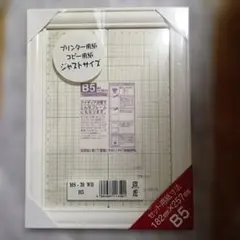 イワタ　マルチフレーム　B5