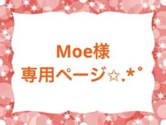Moe様専用ページ✩.*˚