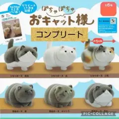 激レア！当時物 子猫物語 チャトラン ぬいぐるみ 昭和レトロ セキグチ