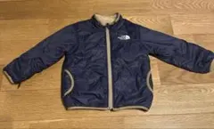 ザノースフェイス110