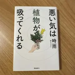 悪い気は植物が吸ってくれる