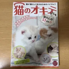 Item thumbnail for item 049f17e1-a13a-46d0-a879-87e8056d708d