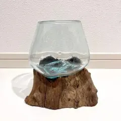 1点物 流木ガラス アクアリウム テラリウム