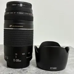 ⭐️美品⭐️ Canon EF 75-300mm F4-5.6 III USM 望遠