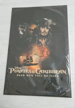 貴重 廃番品 ポスター 折り目あり ジョニー・デップ At the Piano 610×910mm モノクロ ピアノ ジョニーデップ JohnnyDepp 札幌市 清田区 平岡 o*r様 ジョニー・デップ 直筆サイン(コミックブック) &アクリル