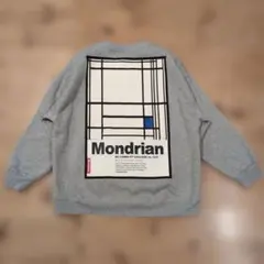 ZARA スウェット トレーナー L