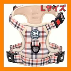 Item thumbnail for item e8688fd0-c844-4ee0-9a7e-794611fff2bc