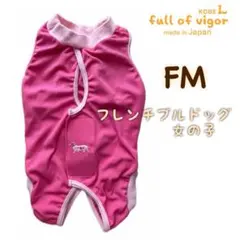 더 큰 프렌치 불독이 가득한 FM 걸즈 엘리자베스는 수술 후 옷을 입습니다 ②