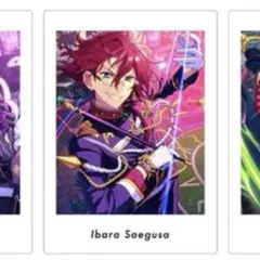 2026年最新】ぱしゃっつ 茨の人気アイテム - メルカリ