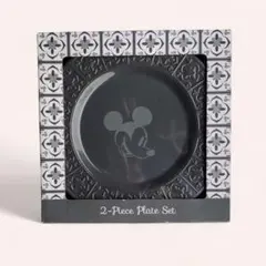 ミッキーマウス＆ミニーマウス　プレート2枚入り 　ディズニー