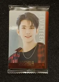 セブチ　ツインウエハース　ジョシュア